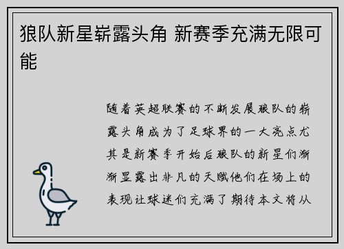 狼队新星崭露头角 新赛季充满无限可能